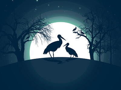 moonlight of pelicans