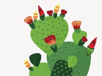 Friendly Cactus bright flowers cactus colorful cactus flat vector green cactus prickly prickly pear cactus vector drawing