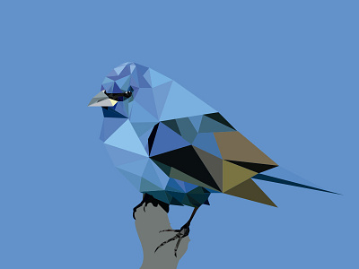 Bluebird bird blue flat illustration triangles vector