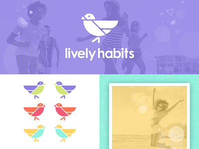 Lively Habits Concept 5 bird brand identity branding logo mood board robin