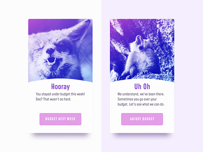 Daily UI #011 (Flash Messages) budget dailyui financial flash message gradiant minimal mohave purple typography