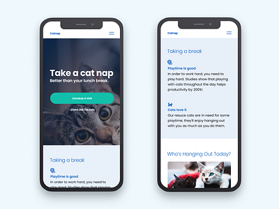 Catnap: Morning UI blue cat site cats design minimal poppins typography ui uidesign white