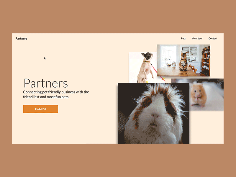 Partners | Morning UI clean design interactions minimal pet startup pets simple site design ui ui ux design ui design web design webflow website website concept