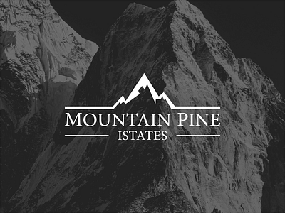 Mountain logo design design graphic design logo mountain vector