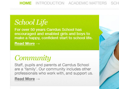 School Website blue bright clean colourful green school simple website