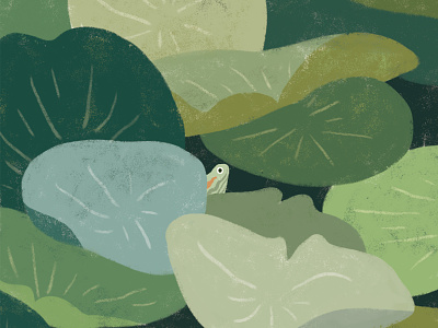 A hidden turtle illustration