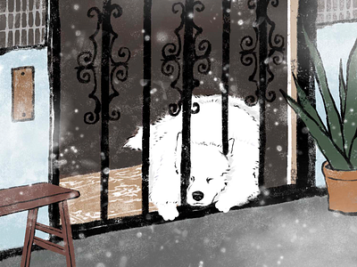 Snowy Day, Snowy Dog illustration