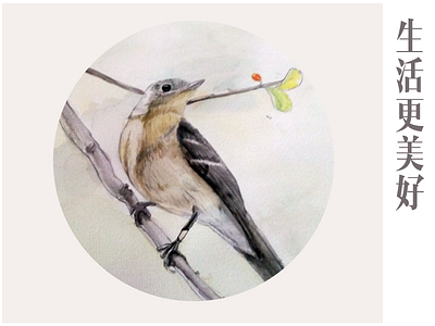 Watercolor attempt illustration，bird
