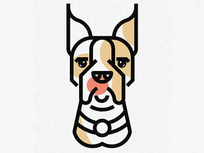 Boxer animal boxer bulldog design dog geometric icon illustration lines nature pet texture thick lines