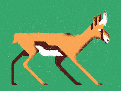 Antilope animal antilope badge design geometric icon illustration lines nature texture