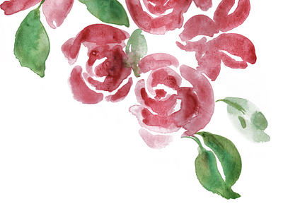 Roses in Watercolor flower flower illustration illustration roses watercolor watercolor art