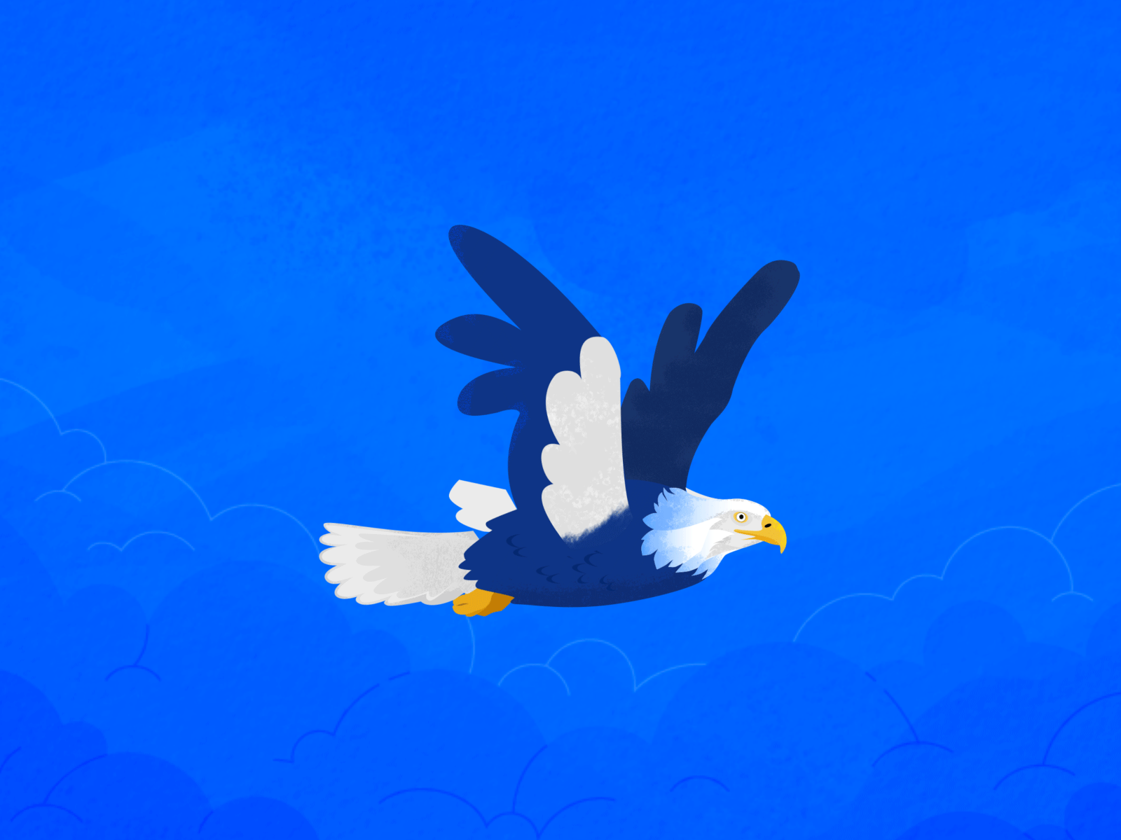 Portela Eagle aftereffects animation bird eagle fly cycle framebyframe ilustration motion design