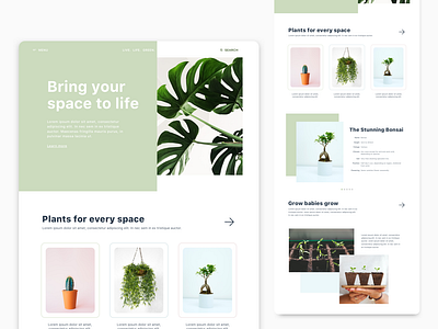 Plants Webpage