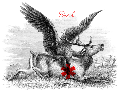 Ouch asterisk bird bw death from above eagle elk engraving field grass meat ouch pecking yummy