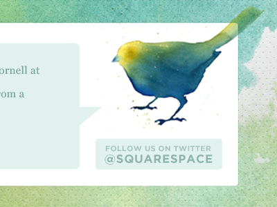 Uniform Bird bird twitter water color tweet