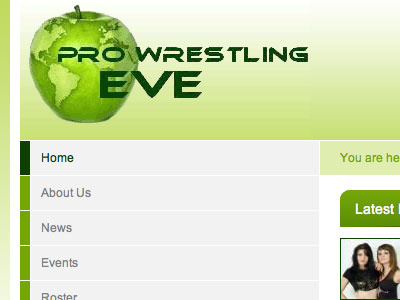 Pro Wrestling EVE #1 redux wrestling