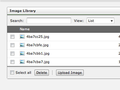 Image Library manager cms image interface library manager