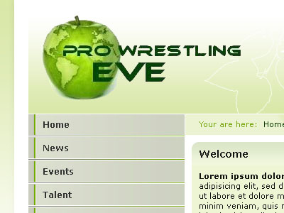 Pro Wrestling EVE #1 womens wrestling