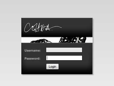 CMS login form cms design form login