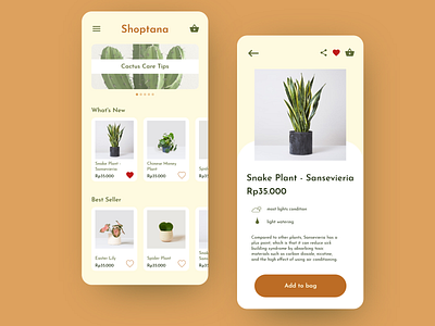 Shoptana E-commerce Concept