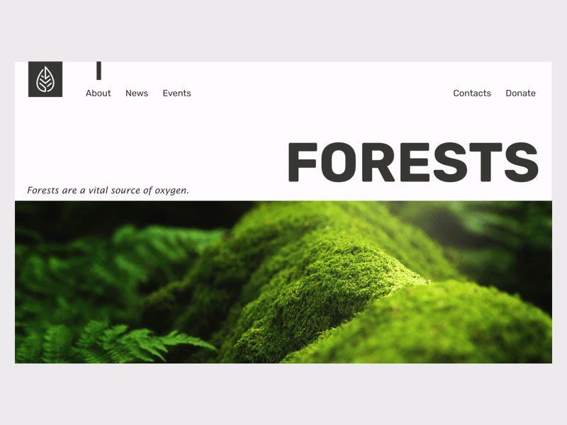Forests animation forests gif ui