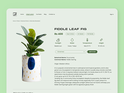 Plant shop - product page branding design e commerce photography plant product page ui uidesign ux