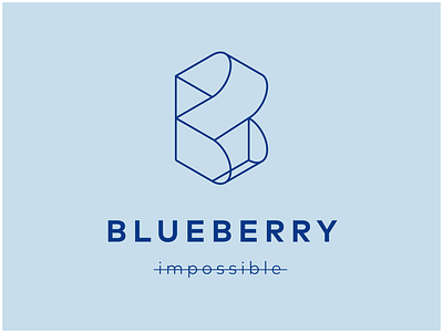 Blueberry Logo b illusion line logo perspective