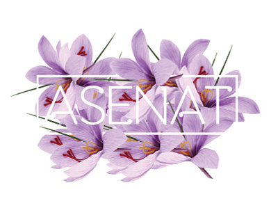 asenat logotype branding design logo