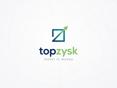 Topzysk logo branding finance investments logo