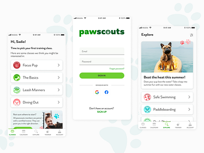 Pawscouts design dog mobile product training ui ux