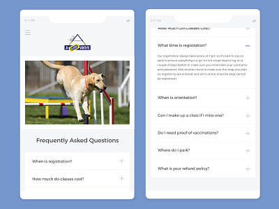 Daily UI | 092 daily ui challenge dailyui dailyui 092 design dog faq frequently asked questions mobile ui