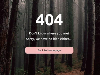 404 page