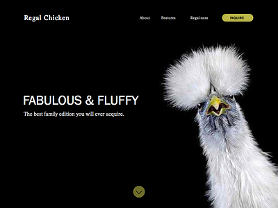 Daily UI :: 003 003 dailyui landingpage regalchicken