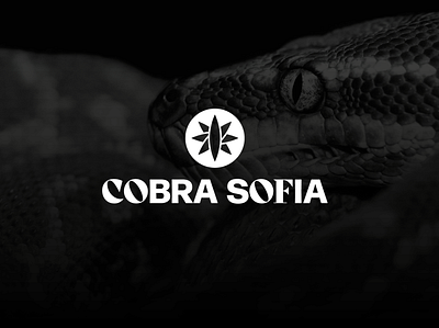 Cobra Sofia - Visual Identity brand branding design fashion graphic design logo design logotype streetwear visual identity