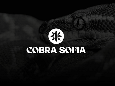 Cobra Sofia - Visual Identity