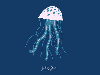 Jellyfish animal illustration illustration jellyfish procreate