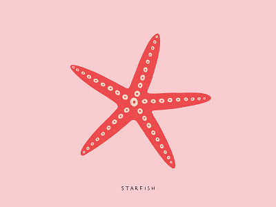 Starfish animal illustration illustration procreate starfish