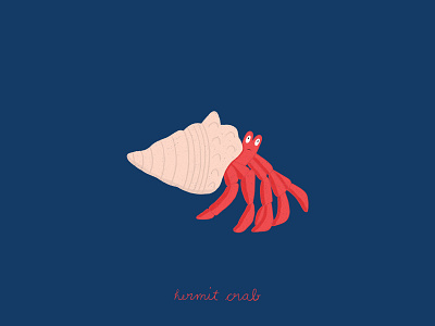 Hermit Crab animal illustration childrens illustration hermit crab illustration ocean life procreate