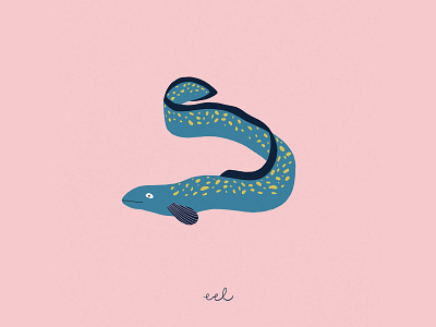Eel animal illustration childrens illustration eel illustration ocean life procreate