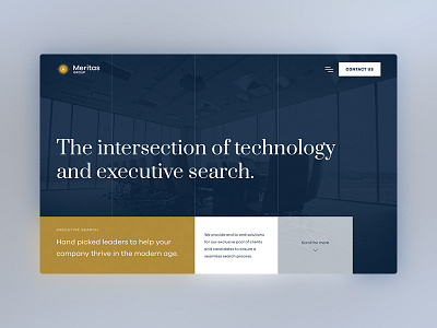Meritas Group Homepage Design