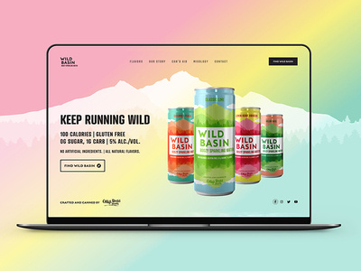 Wild Basin Boozy Water Landing Page - Final Design colorful landing page ux ui ux design web desgin website