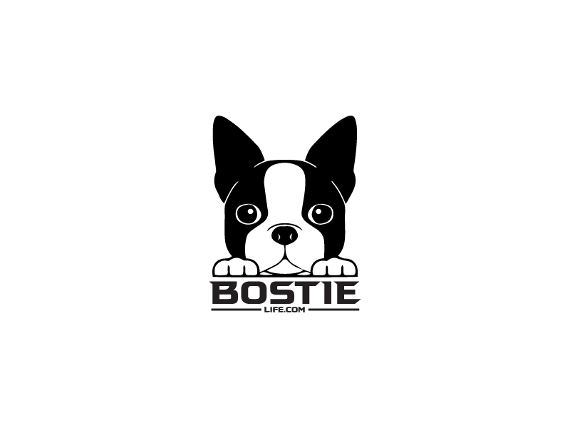 Bostie Logo Design animal logo bostie branding cat logo logodesign minimalist logo trendy logo typography logo typography logo flat