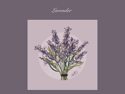 Flower Series (3) Lavender Illustration graphic design illustration lavender