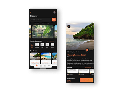 Travel Apps (Dark Version) app apps design travelapps ui ui design ui ux design ux