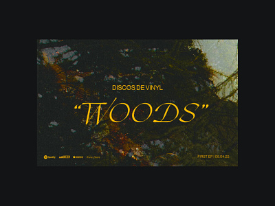 Discos de Vinyl - Woods
