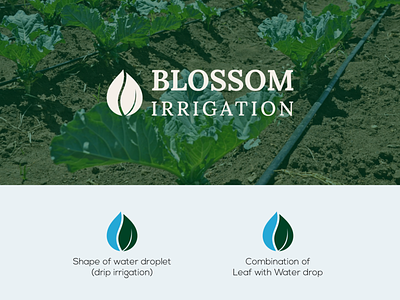 Logo Design for Blossom Irrigation
