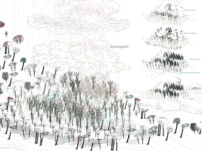 Forest structure system.