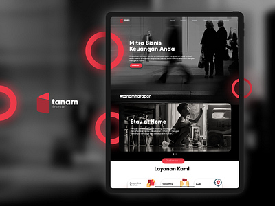 Tanam Finance - Financial Consultant accounting auditing branding financial app ui ux web website