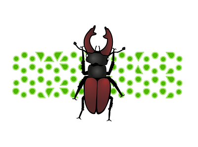 Stag beetle abstract beetle bug contrast illustration insects nature vectorart