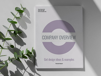 Company Overview Template